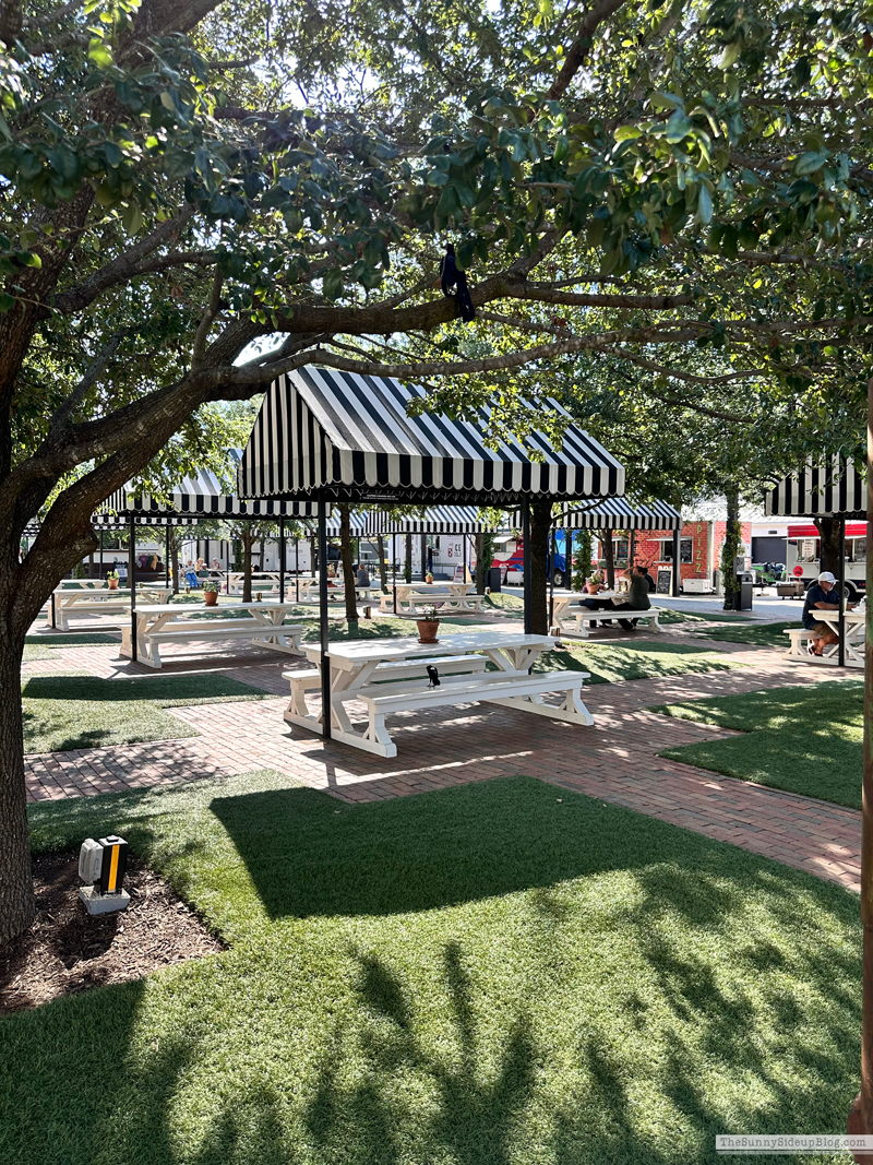 Magnolia (Sunny Side Up)