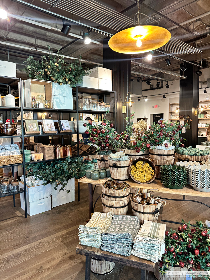 Magnolia (Sunny Side Up)