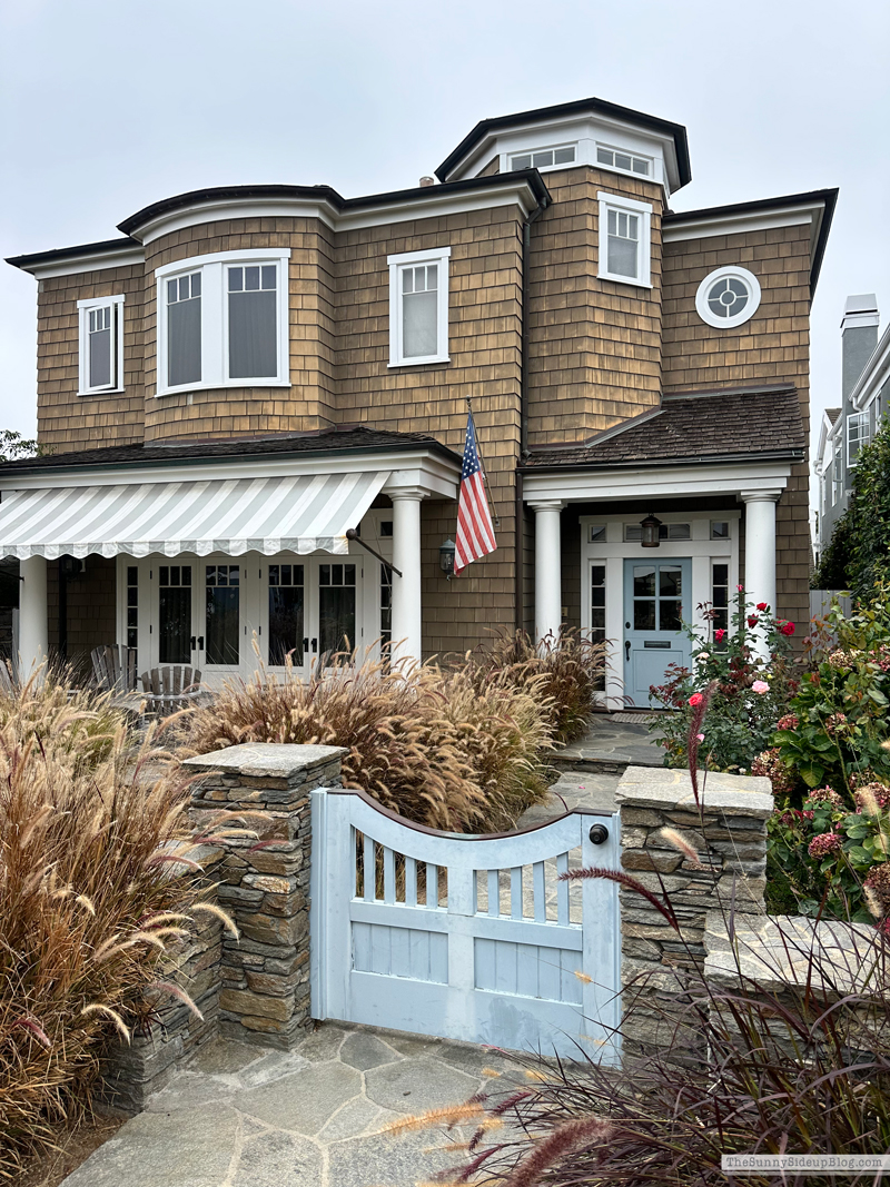 Christmas arrivals, Prime and Newport (Sunny Side Up)