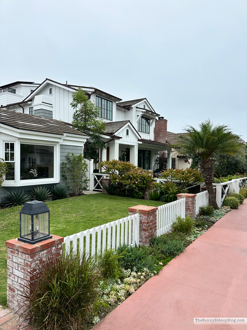 Christmas arrivals, Prime and Newport (Sunny Side Up)