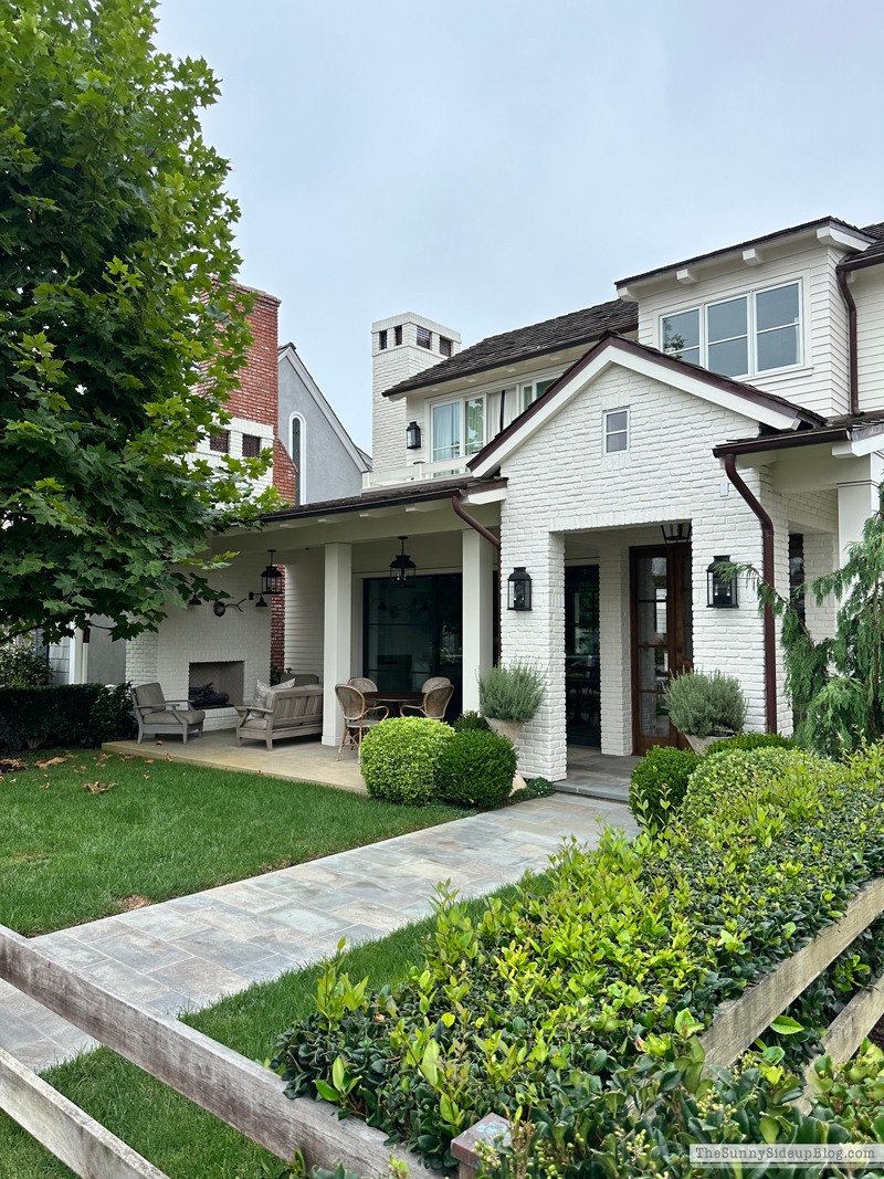 Christmas arrivals, Prime and Newport (Sunny Side Up)