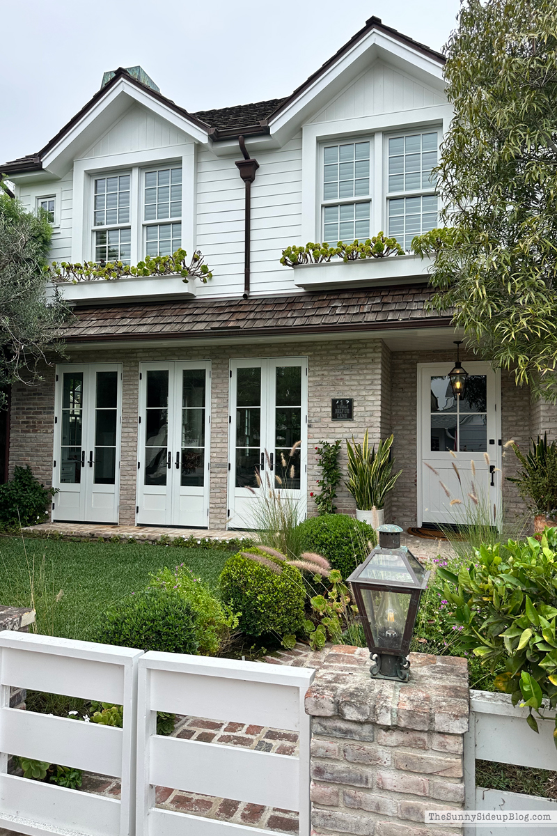 Christmas arrivals, Prime and Newport (Sunny Side Up)