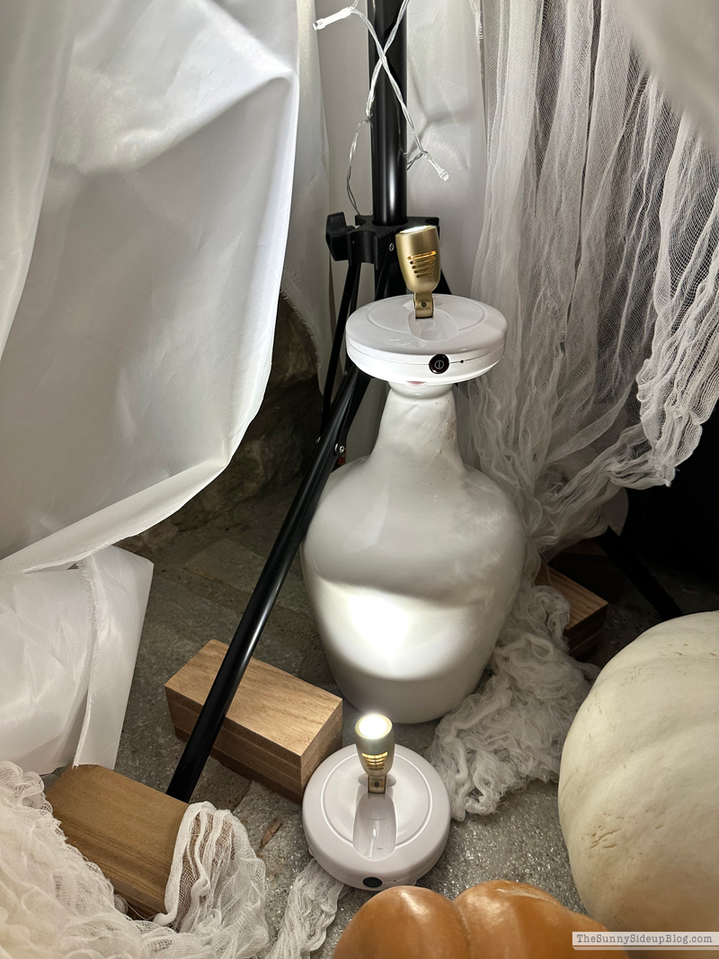 Halloween Porch (Sunny Side Up)