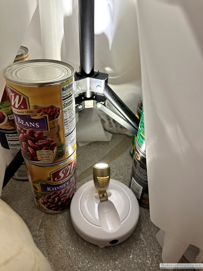 Halloween Porch (Sunny Side Up)