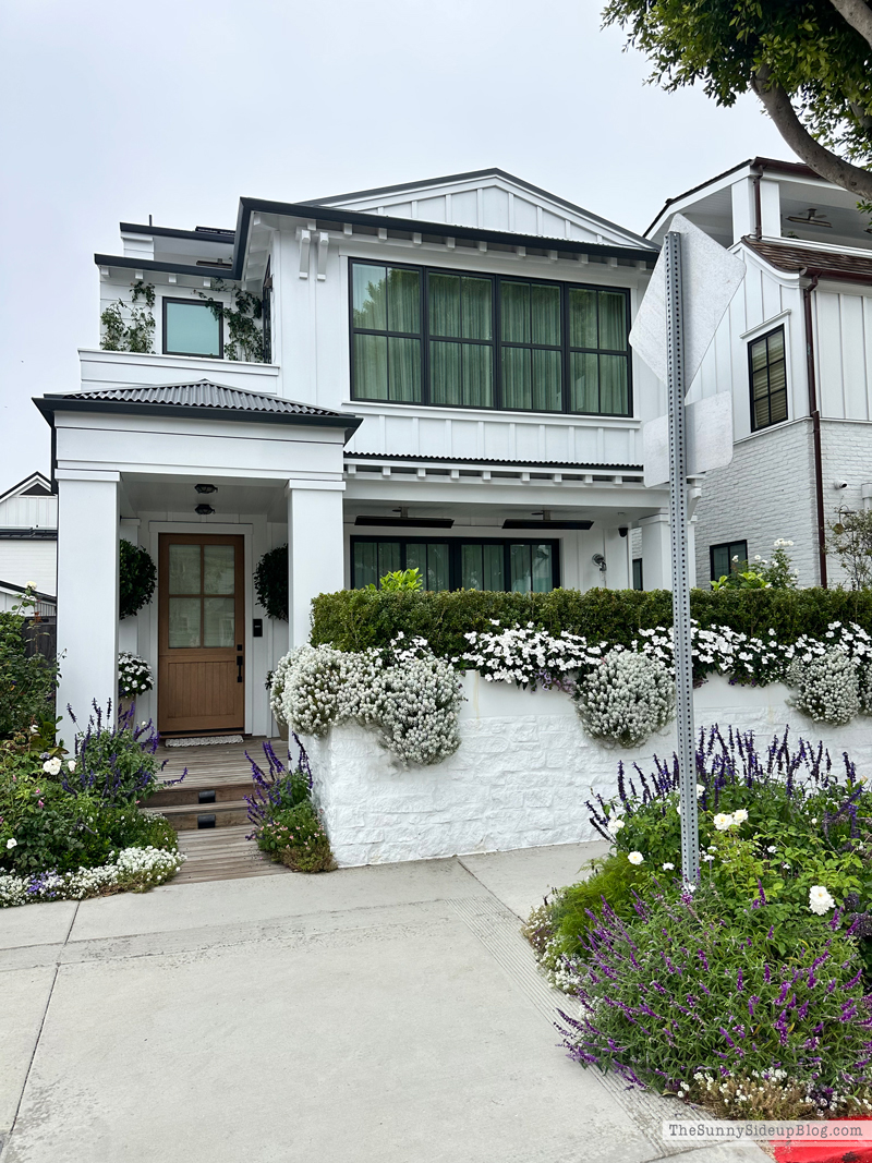 Christmas arrivals, Prime and Newport (Sunny Side Up)