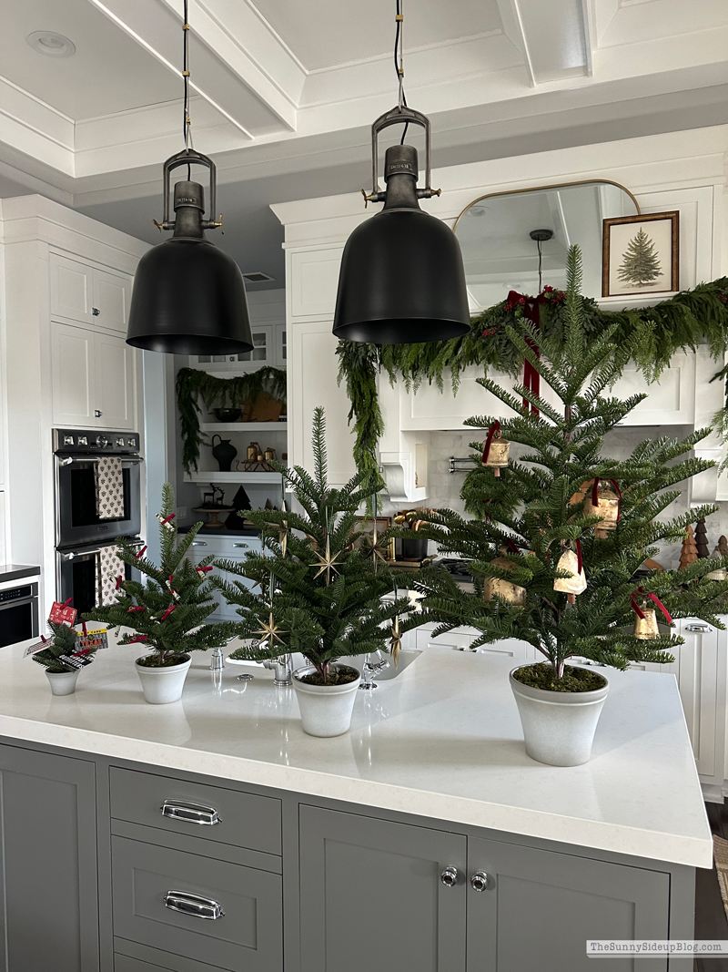 Black Friday Sales (Sunny Side Up)