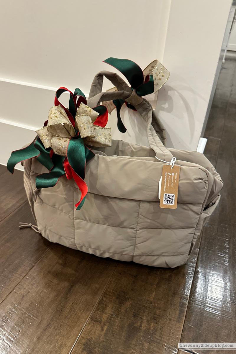 PJ Party 2025 (Sunny Side Up)