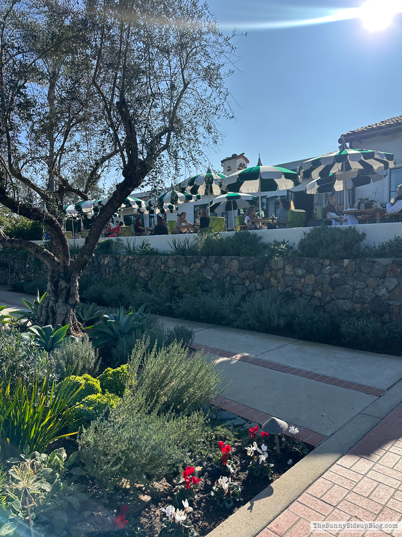 December Happenings (Sunny Side Up)